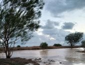 سيول بوادي الطيبة بالثمد بوسط سيناء