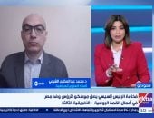 الدكتور محمد عبد العظيم الشيمي أستاذ العلوم السياسية