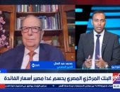 الخبير المصرفي محمد عبد العال