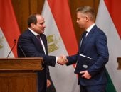 فخامة الرئيس عبد الفتاح السيسي