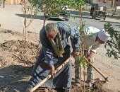 خلال زراعة الأشجار