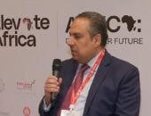 السفير المصري لدى غانا
