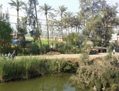 قطع الاشجار