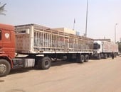 شاحنة شاحنة