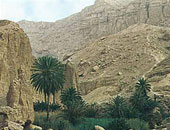 المجتماعت البدوية فى مطروح