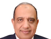 د. محمود عصمت وزير قطاع الأعمال العام 