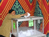 انتخابات الوفد