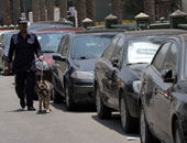 أبطال بلا أوسمة.. كيف تحمي الكلاب البوليسية المجتمع من الجريمة