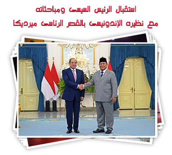 استقبال الرئيس السيسى ومباحثاته مع نظيره الإندونيسى بالقصر الرئاسى ميرديكا.. صور