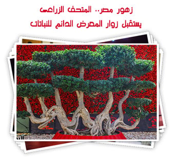 زهور مصر.. المتحف الزراعى يستقبل زوار المعرض الدائم للنباتات 