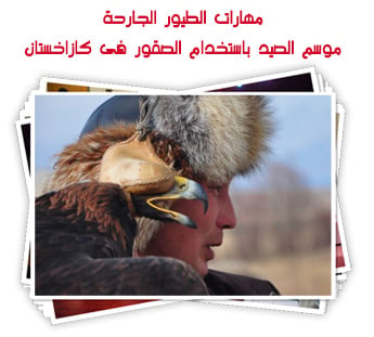 مهارات الطيور الجارحة.. موسم الصيد باستخدام الصقور فى كازاخستان