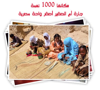 سكانها 1000 نسمة ويعتمدون على الزراعة والمقايضة.. جارة أم الصغير  أصغر واحة مصرية في قلب الصحراء الغربية