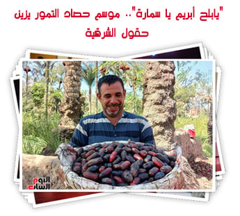 "يابلح أبريم يا سمارة".. موسم حصاد التمور يزين حقول الشرقية