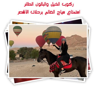 ركوب الخيل والبالون الطائر..  استمتاع سياح العالم برحلات الأقصر