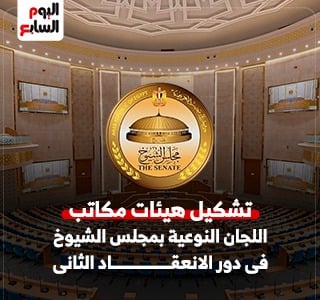 ننفرد بتشكيل اللجان النوعية لمجلس الشيوخ