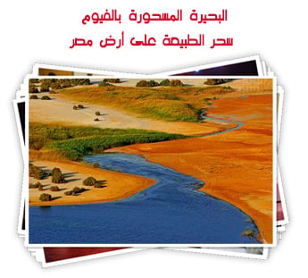 البحيرة المسحورة بالفيوم سحر الطبيعة على أرض مصر