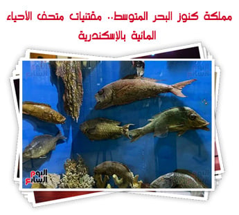 مملكة كنوز البحر المتوسط.. مقتنيات متحف الأحياء المائية بالإسكندرية