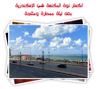 انكسار نوة المكنسة في الإسكندرية بعد ليلة ممطرة ومثلجة