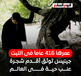 جينيس توثق أقدم شجرة عنب حية فى العالم بعمر 416 عاما فى التبت