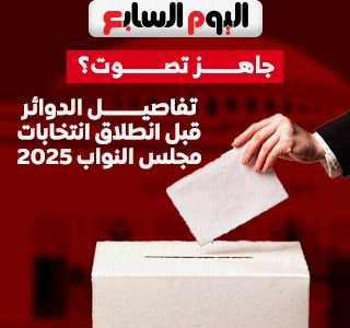 جاهز تصوت؟.. اعرف تفاصيل الدوائر قبل انطلاق انتخابات النواب 2025.. إنفوجراف