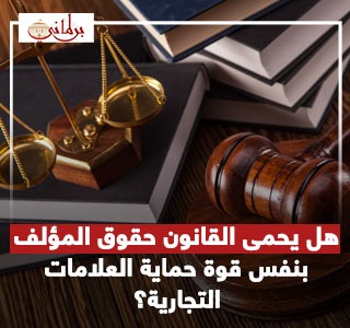 حماية حقوق المؤلف بين الواقع والقانون.. برلمانى