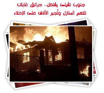 جنوب تشيلى يشتعل.. حرائق غابات تلتهم المنازل وتُجبر الآلاف على الإخلاء