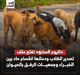 الكلاب