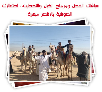 سباقات الهجن ومرماح الخيل والتحطيب.. احتفالات الصوفية بالأقصر مبهرة