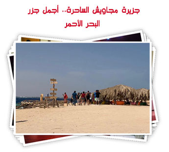 جزيرة مجاويش الساحرة.. أجمل جزر البحر الأحمر