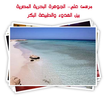 مرسى علم.. الجوهرة البحرية المصرية بين الهدوء والطبيعة البكر