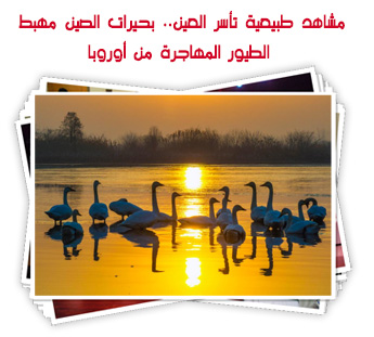 مشاهد طبيعية تأسر العين.. بحيرات الصين مهبط الطيور المهاجرة من أوروبا