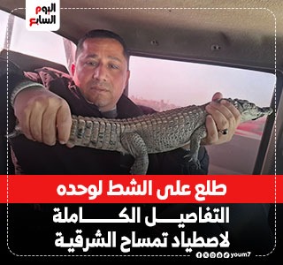 طلع على الشط لوحده.. التفاصيل الكاملة لاصطياد تمساح الزوامل بعد حصاره