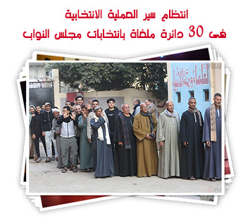 انتظام سير العملية الانتخابية فى 30 دائرة ملغاة بانتخابات مجلس النواب
