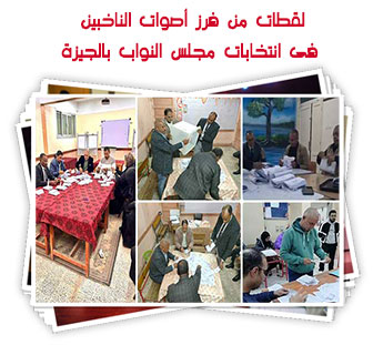 لقطات من فرز أصوات الناخبين فى انتخابات مجلس النواب بالجيزة
