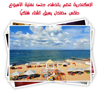 الإسكندرية تنعم بالدفء حتى نهاية الأسبوع.. طقس معتدل يسبق الشتاء فلكيًا