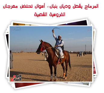 المرماح يشعل وديان بنبان.. أسوان تحتضن مهرجان الفروسية الشعبية