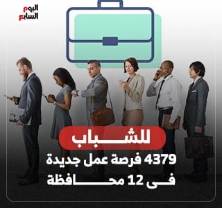 وزارة العمل: 4379 فرصة عمل جديدة فى 12 محافظة ضمن نشرة التوظيف