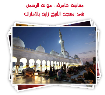 مساجد عامرة.. موائد الرحمن فى مسجد الشيخ زايد بالامارات