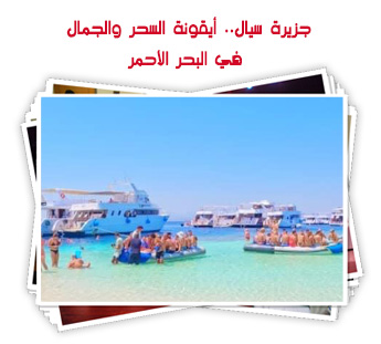 جزيرة سيال.. أيقونة السحر والجمال في البحر الأحمر