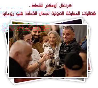 كرنفال أوسكار القطط.. فعاليات المسابقة الدولية لجمال القطط في رومانيا
