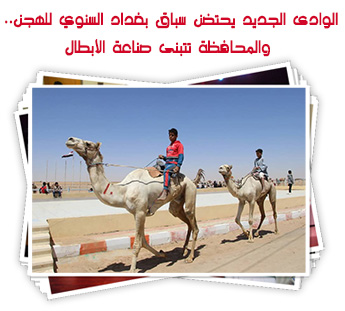 الوادى الجديد يحتضن سباق بغداد السنوي للهجن.. والمحافظة تتبنى صناعة الأبطال