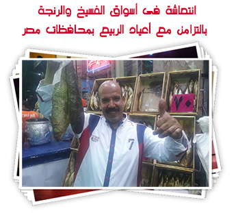 انتعاشة فى أسواق الفسيخ والرنجة بالتزامن مع أعياد الربيع بمحافظات مصر