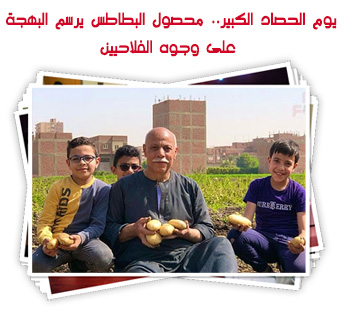يوم الحصاد الكبير.. محصول البطاطس يرسم البهجة على وجوه الفلاحيين