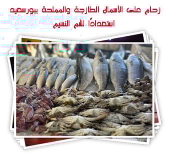 زحام على الأسماك الطازجة والمملحة ببورسعيد استعدادًا لشم النسيم