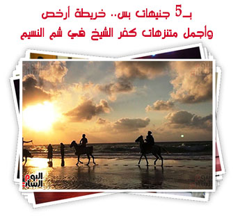 بـ5 جنيهات بس.. خريطة أرخص وأجمل متنزهات كفر الشيخ في شم النسيم