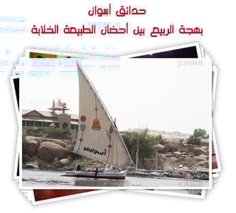 حدائق أسوان.. بهجة الربيع بين أحضان الطبيعة الخلابة