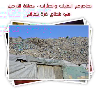 تحاصرهم النفايات والحشرات.. معاناة النازحين في قطاع غزة تتفاقم