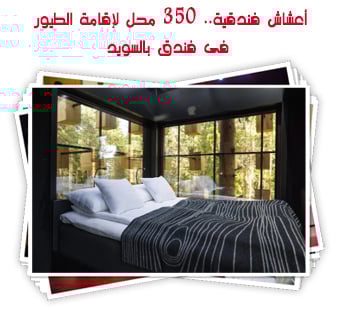 أعشاش فندقية.. 350 محل لإقامة الطيور فى فندق بالسويد