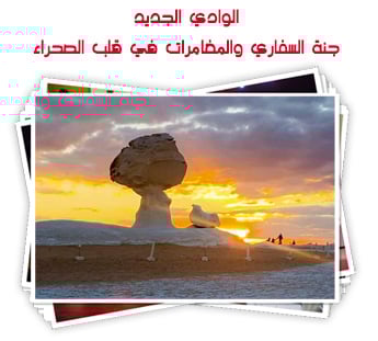 الوادي الجديد.. جنة السفاري والمغامرات في قلب الصحراء