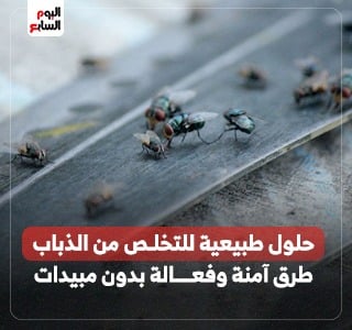 6 حلول طبيعية للتخلص من الذباب